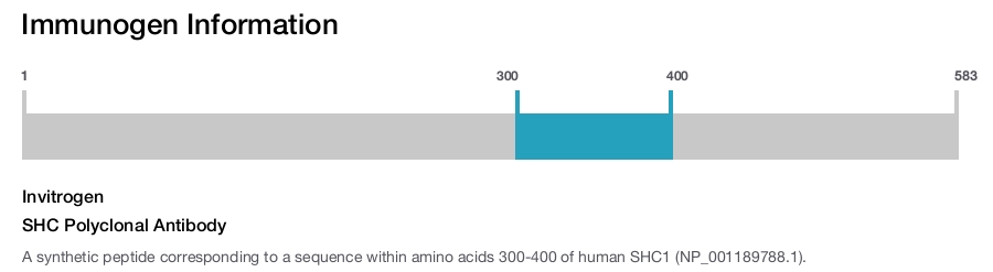 SHC Polyclonal Antibody