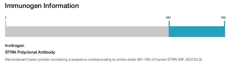 STRN Polyclonal Antibody