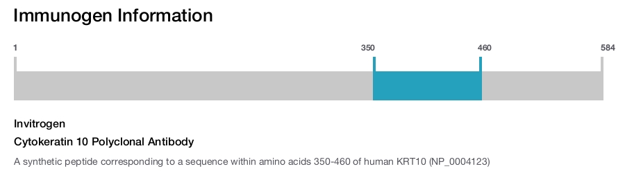 Cytokeratin 10 Polyclonal Antibody