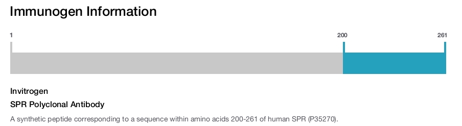 SPR Polyclonal Antibody