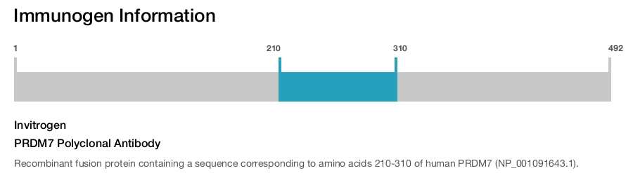 PRDM7 Polyclonal Antibody