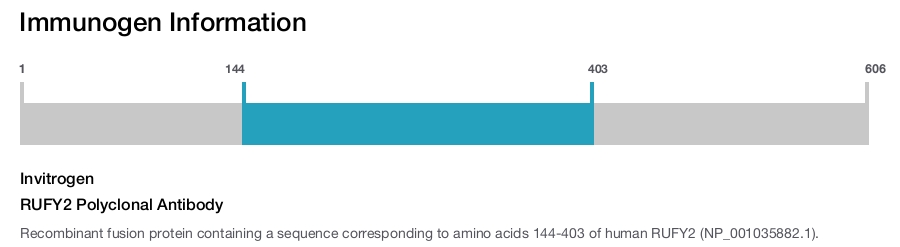RUFY2 Polyclonal Antibody