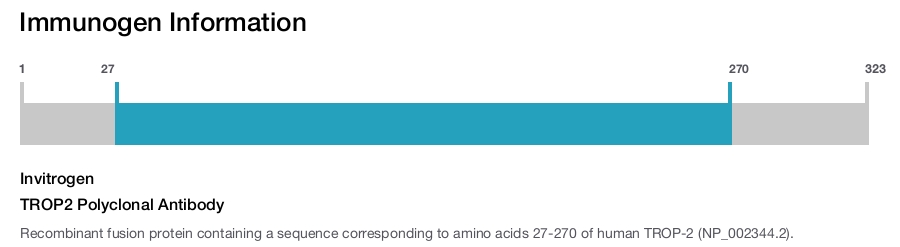 TROP2 Polyclonal Antibody