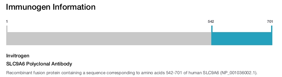 SLC9A6 Polyclonal Antibody