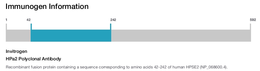HPa2 Polyclonal Antibody