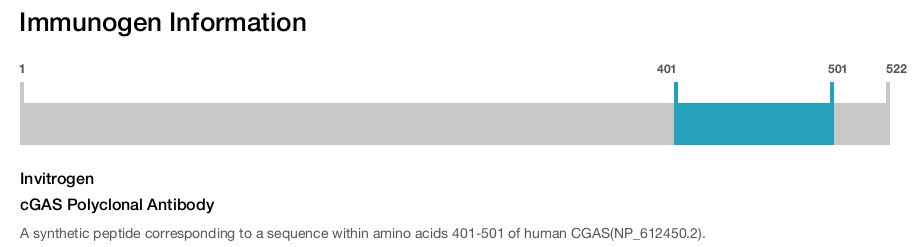 cGAS Polyclonal Antibody
