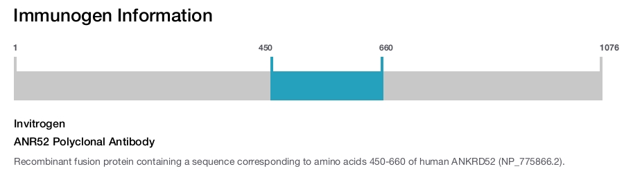 ANR52 Polyclonal Antibody