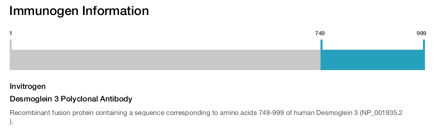 Desmoglein 3 Polyclonal Antibody
