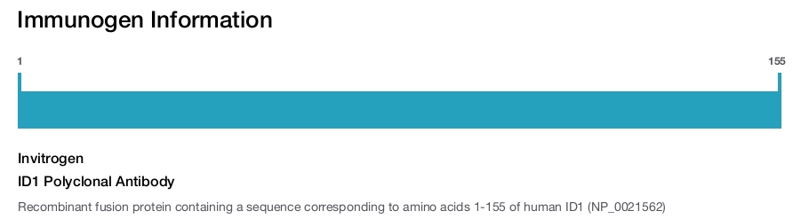 ID1 Polyclonal Antibody