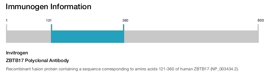 ZBTB17 Polyclonal Antibody