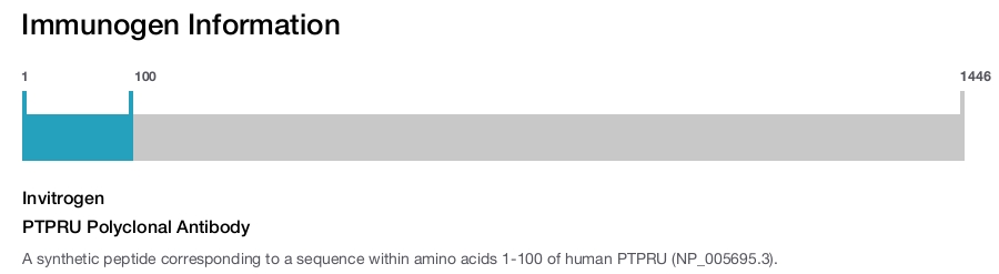 PTPRU Polyclonal Antibody