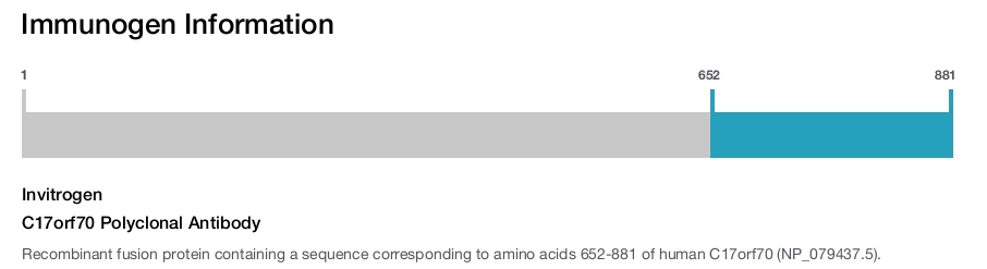 C17orf70 Polyclonal Antibody
