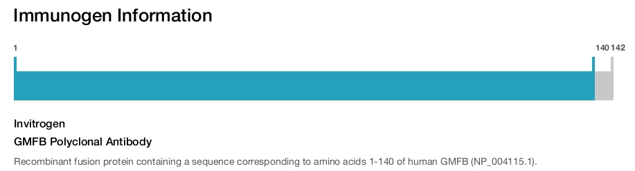 GMFB Polyclonal Antibody