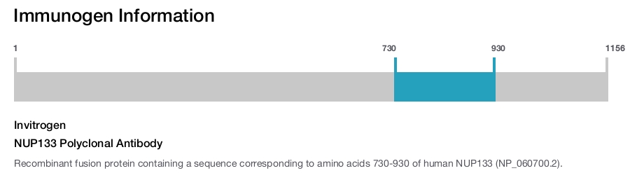 NUP133 Polyclonal Antibody