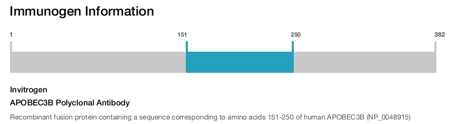 APOBEC3B Polyclonal Antibody
