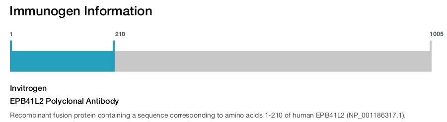 EPB41L2 Polyclonal Antibody