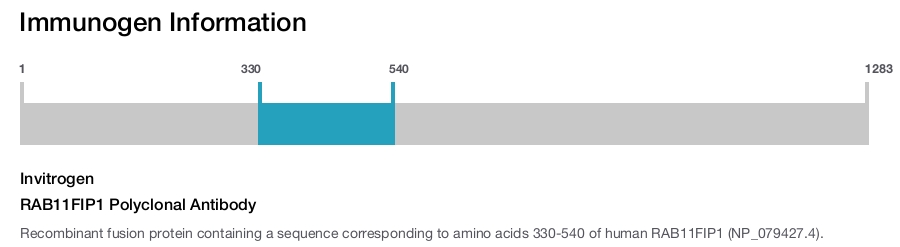 RAB11FIP1 Polyclonal Antibody