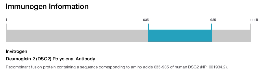 Desmoglein 2 (DSG2) Polyclonal Antibody