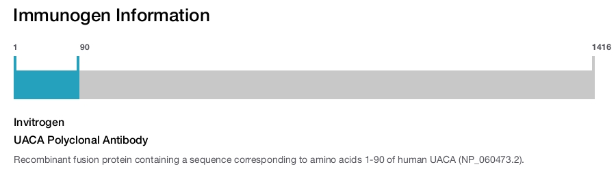 UACA Polyclonal Antibody