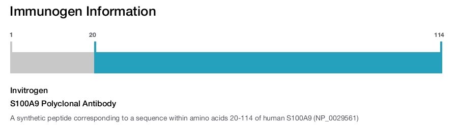 S100A9 Polyclonal Antibody
