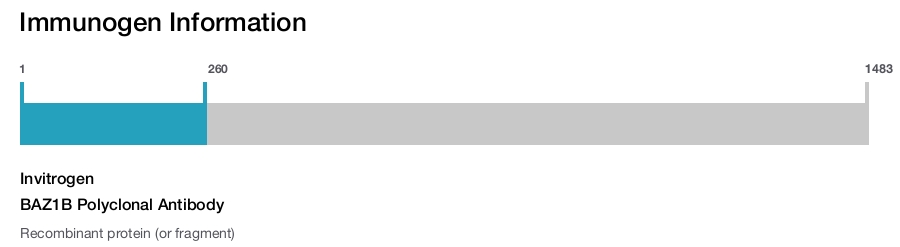 BAZ1B Polyclonal Antibody