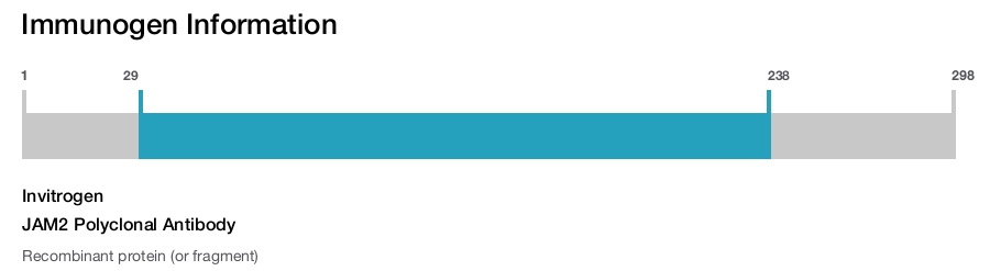 JAM2 Polyclonal Antibody