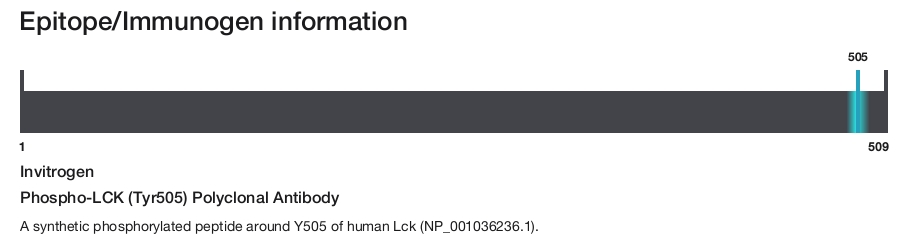 Phospho-LCK (Tyr505) Polyclonal Antibody