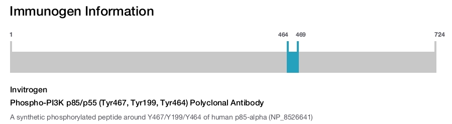 Phospho-PI3K p85/p55 (Tyr467, Tyr199, Tyr464) Polyclonal Antibody