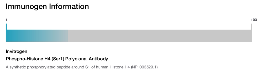 Phospho-Histone H4 (Ser1) Polyclonal Antibody