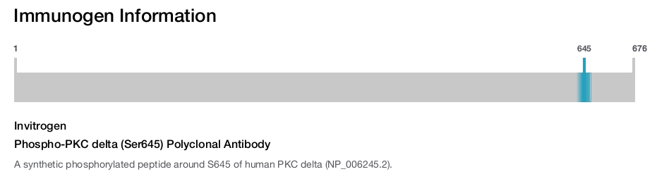 Phospho-PKC delta (Ser645) Polyclonal Antibody