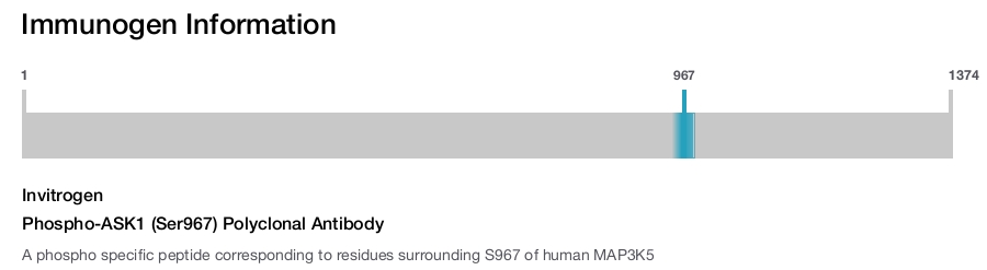 Phospho-ASK1 (Ser967) Polyclonal Antibody