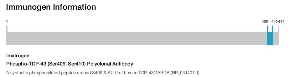 Phospho-TDP-43 (Ser409, Ser410) Polyclonal Antibody