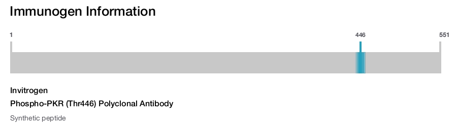 Phospho-PKR (Thr446) Polyclonal Antibody