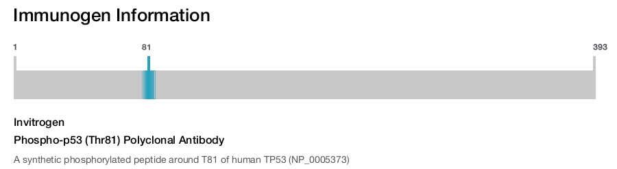 Phospho-p53 (Thr81) Polyclonal Antibody