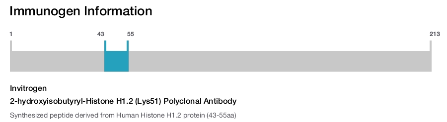 2-hydroxyisobutyryl-Histone H1.2 (Lys51) Polyclonal Antibody