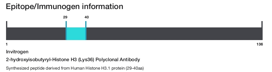 2-hydroxyisobutyryl-Histone H3 (Lys36) Polyclonal Antibody