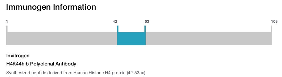 H4K44hib Polyclonal Antibody
