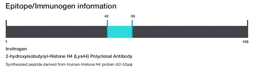 2-hydroxyisobutyryl-Histone H4 (Lys44) Polyclonal Antibody