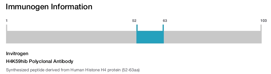 H4K59hib Polyclonal Antibody