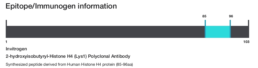 2-hydroxyisobutyryl-Histone H4 (Lys1) Polyclonal Antibody