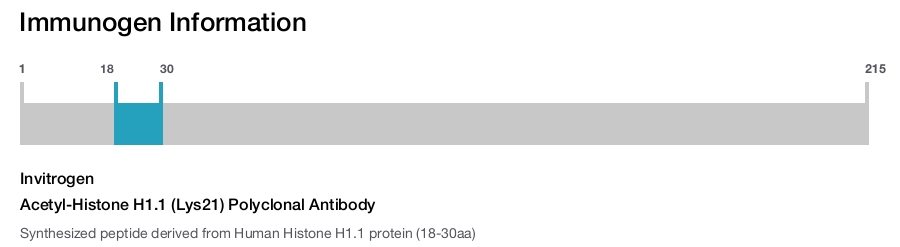 Acetyl-Histone H1.1 (Lys21) Polyclonal Antibody