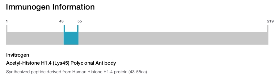 Acetyl-Histone H1.4 (Lys45) Polyclonal Antibody