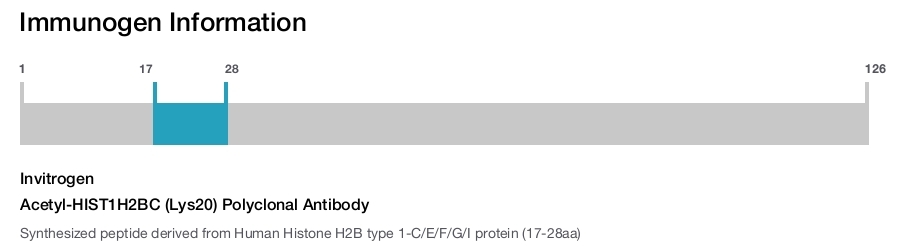 Acetyl-HIST1H2BC (Lys20) Polyclonal Antibody