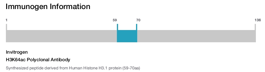 H3K64ac Polyclonal Antibody