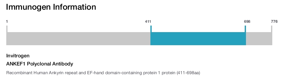 ANKEF1 Polyclonal Antibody