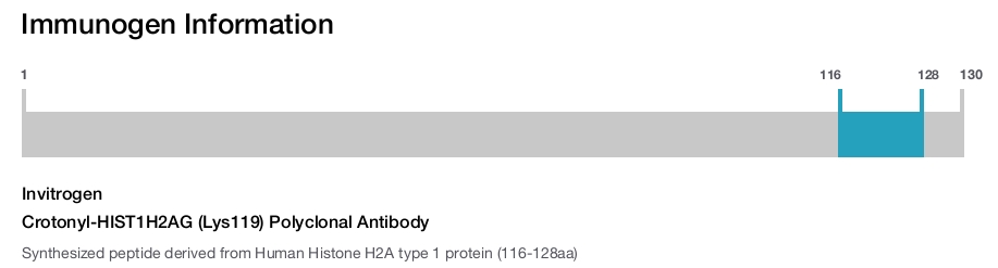 Crotonyl-HIST1H2AG (Lys119) Polyclonal Antibody