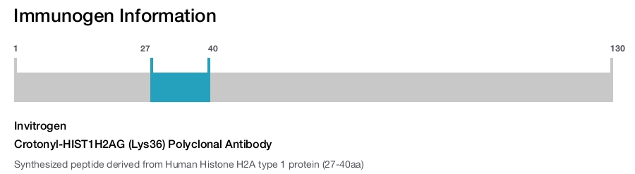 Crotonyl-HIST1H2AG (Lys36) Polyclonal Antibody