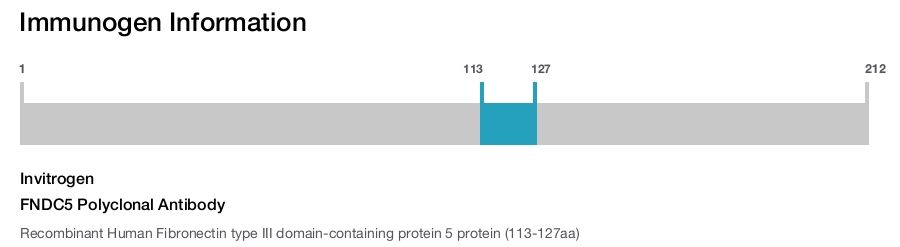 FNDC5 Polyclonal Antibody