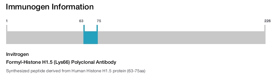 Formyl-Histone H1.5 (Lys66) Polyclonal Antibody