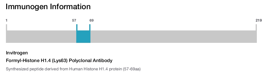 Formyl-Histone H1.4 (Lys63) Polyclonal Antibody
